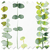 Santa Maria, Botany Green - Roller Blind